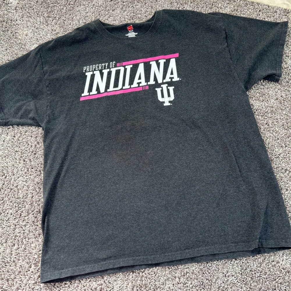 Hanes Indiana University Hoosiers Property of Indiana T Shirt XL gray pink‎